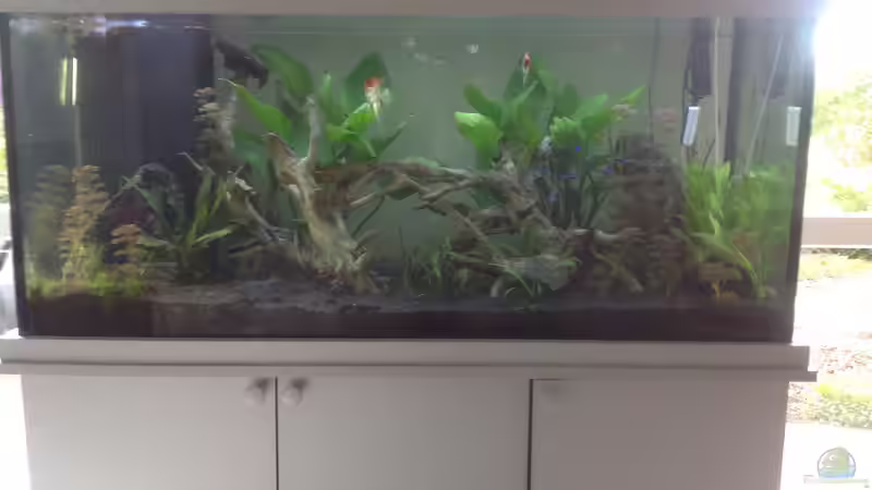 mein kleines Süd-Amerika von Poggy (1)