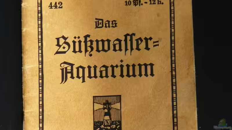 ´Mein Leitfaden´ von A. G. (11)