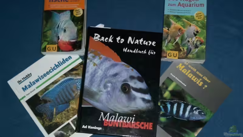 mein lesestoff von maggo 28 (21)