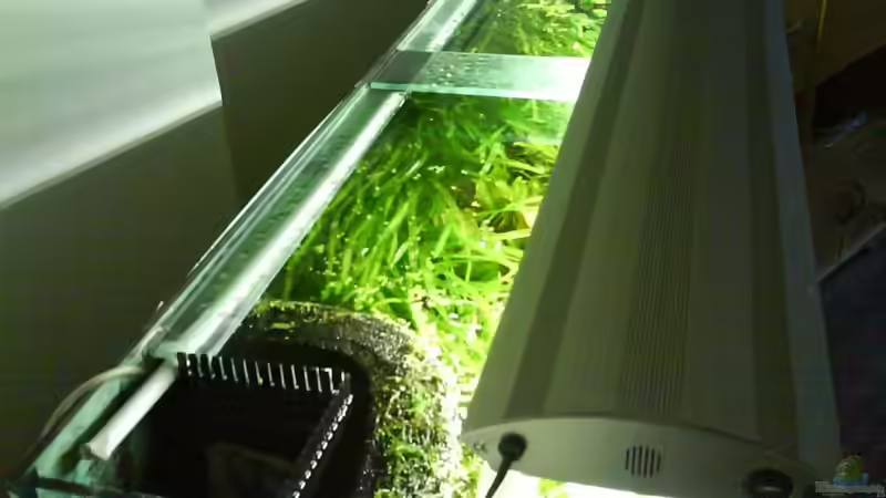 Mein Leuchtbalken von Der Harzer. (18)