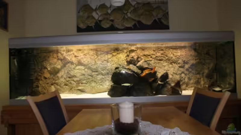 mein Lieblingsplatz - ALT von AquaElvis (3)