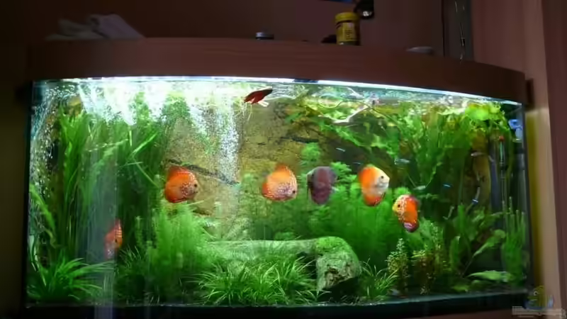 Mein Liebstes Hobby .:-))))))) von Ralf Hoffmann (1)