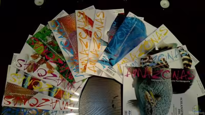 mein liebstes Hochglanzmagazin!! von Chris_R. (25)