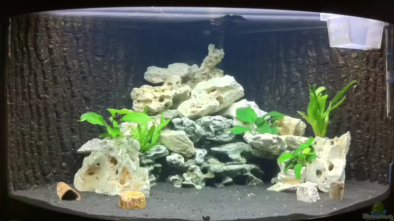 Mein Malawi See von Florian Karmann (1)