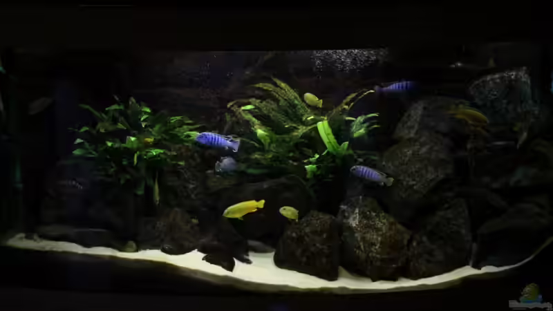 Mein Malawi!!! von Philosoph (1)