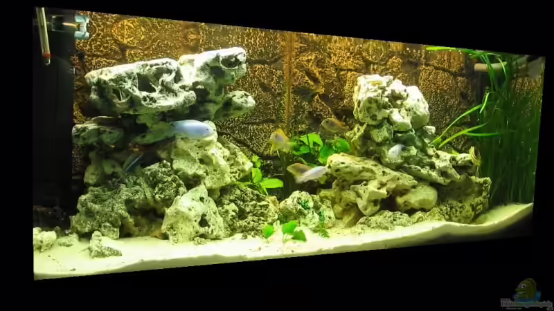 MEIN MALAWISEE... von Deutschmaschine (1)