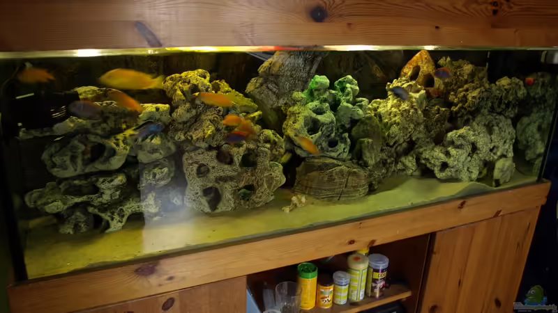 Mein Malawisee von Erwin12 (1)