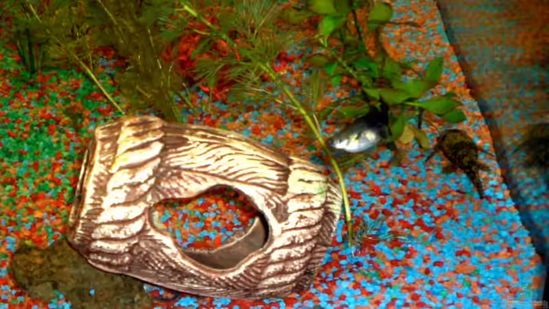 Mein Meisterpropper von Patrick Barth (6)