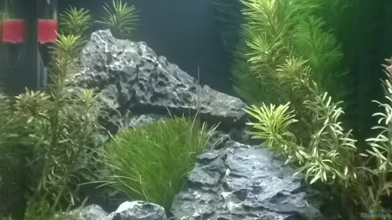 mein Nano nach 3 Tage Einfahrzeit von Nano73 (7)