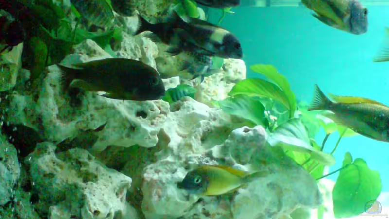 Mein neuer Besatz!!!