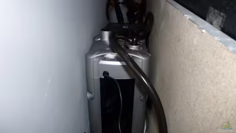 mein neuer Filter JBL Cristal900 zusätzlich zum alten JBL Cristal 250 von Pogobeer (22)