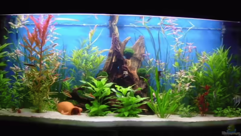 Mein neues 450 Liter Becken