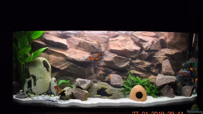 Mein neues Aquarium von Mario Kühn