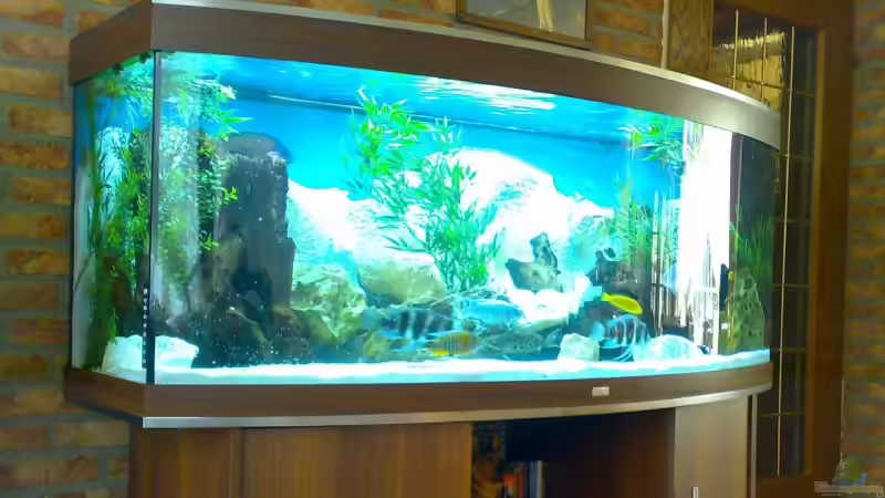 Mein neue´s becken.