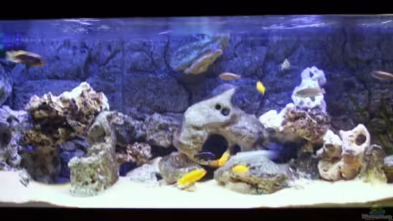 Mein Neues Becken 180x60x60 von Patrick Stelter (1)