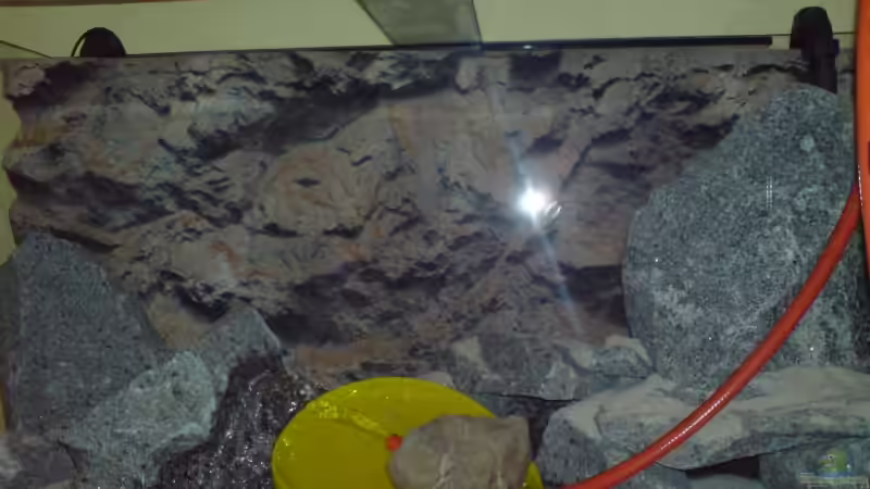 Mein neues Becken beim einlaufen von Dommsel (7)