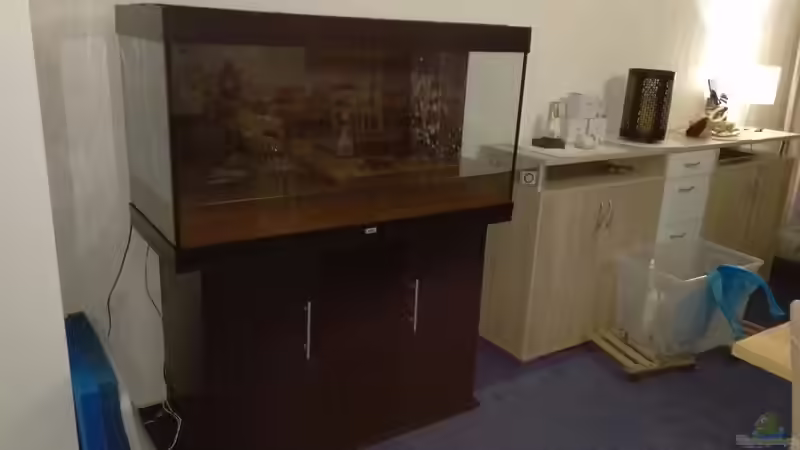 Mein neues Becken (Juwel Rio 300) Mitte Oktober 2016 Schrank schwarz gestrichen, Rückwand schwarzes D-C-Fix von Ralf Bercke (4)