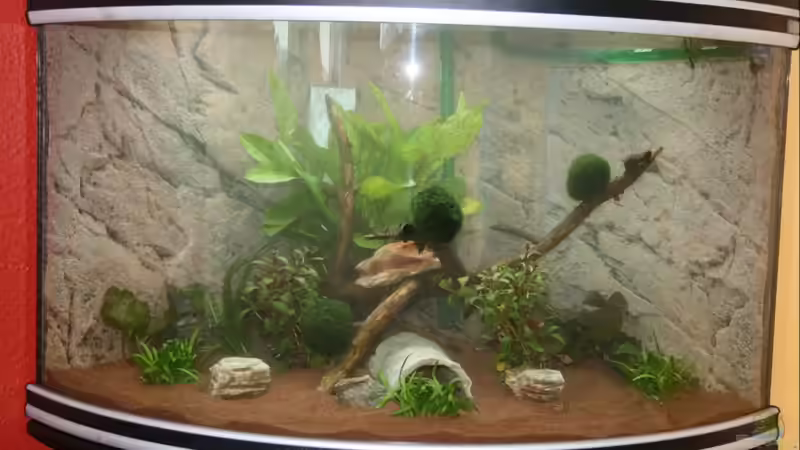 Mein neues Eckaqaurium