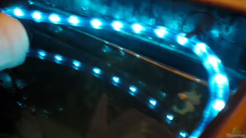 mein neues Nachtlicht von bl@cky is b@ck (11)