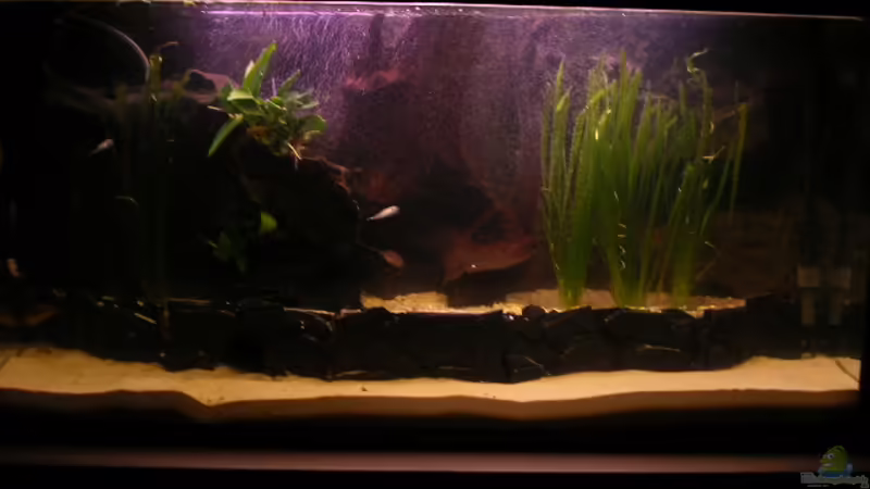 Mein neues Persöhnliches Traumbecken