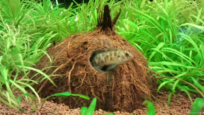 mein neues zuhause von Jens Hug (11)