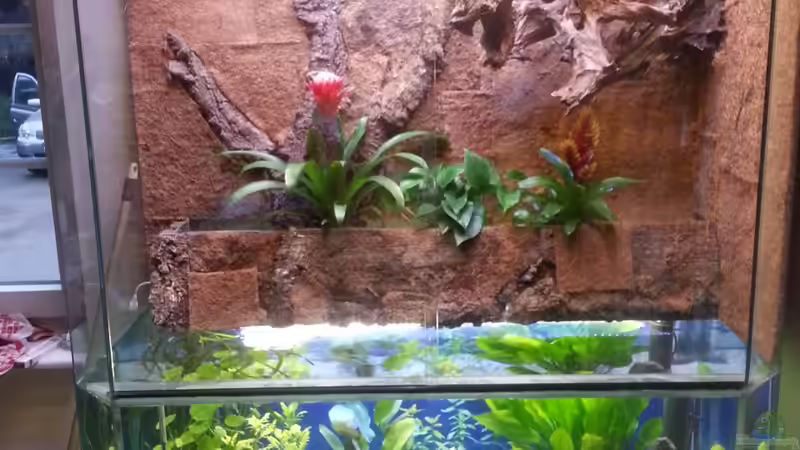 mein Palo von Benjamin Janke