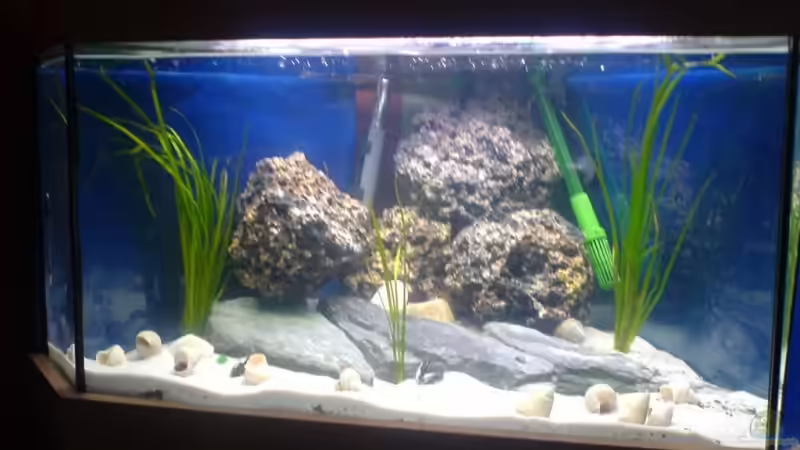 Mein persönlicher Traum von Mike Schümann (1)