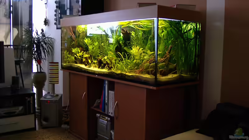 mein Platz - Blick aufs Aquarium von Mario74 (10)