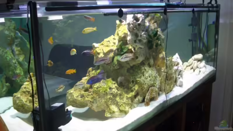 Mein Riff 2 von LaikMe (10)