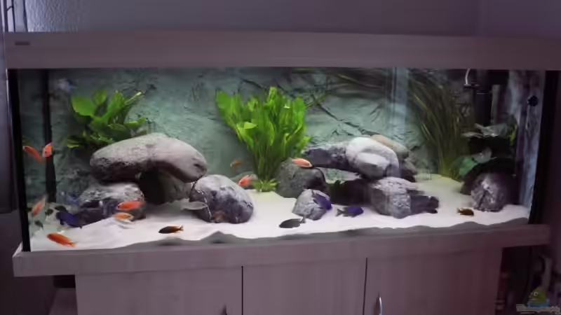 mein Schmuckstück im Wohnzimmer