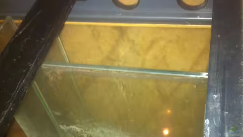 Mein Schnäppchen der Innenfilter von Alexander Alexander (7)