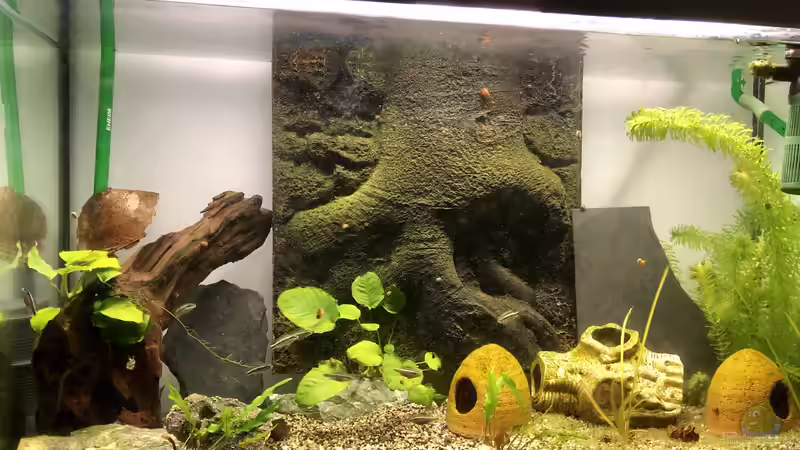 Mein schönes Afrika ❤️ von Helga Kury (1)