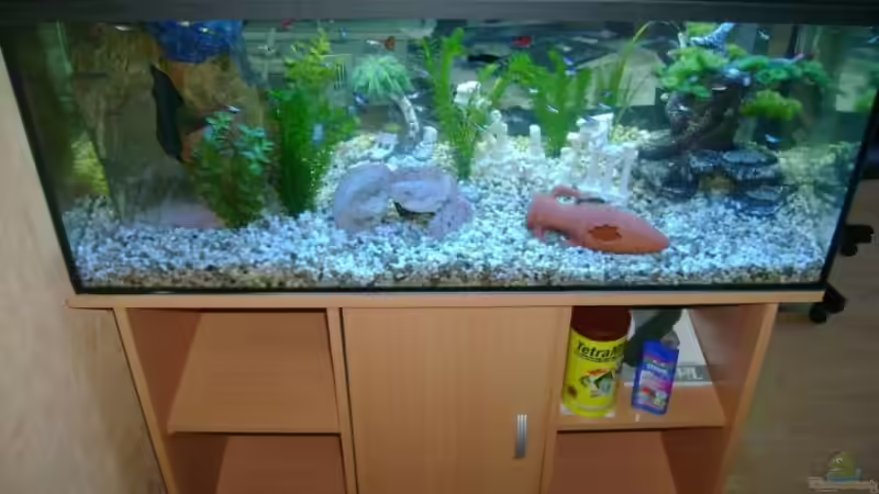 Mein schönes Aquarium von Robert Bratzik (1)