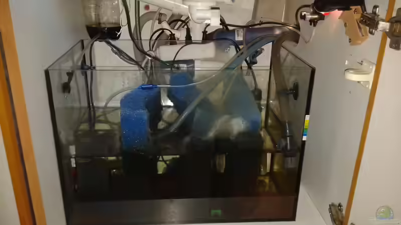 Mein Selbstgebautes Filterbecken mit Frischwasser zulauf von Rene Zwirchmayr (25)