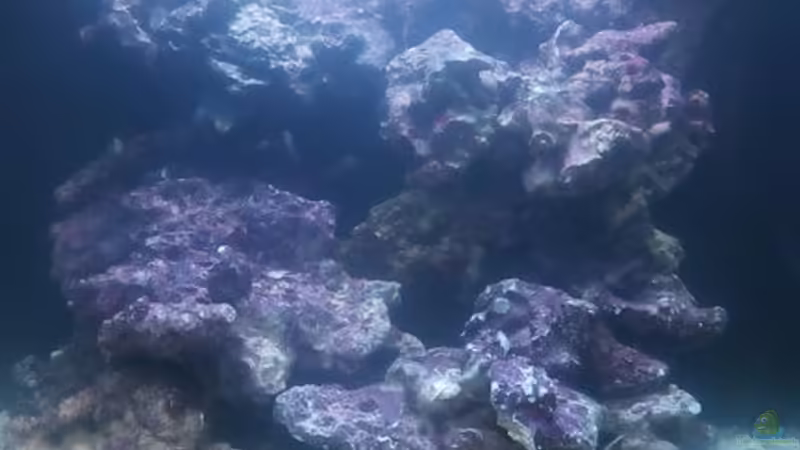 Mein Sera 130 cube von Dirk Simons (1)