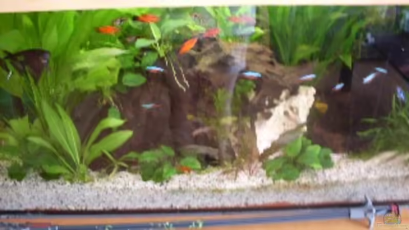 mein sorgen kind von der anfänger (1)