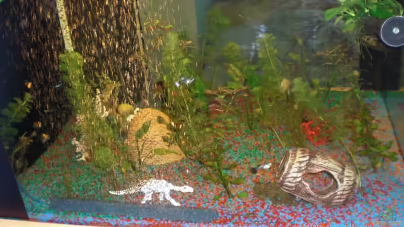 Mein Spielzeug von Patrick Barth (4)