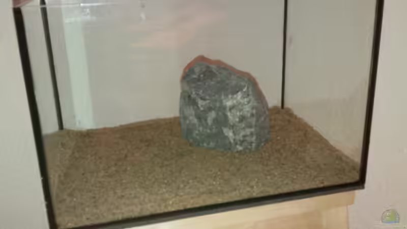 mein Stein von lützkopf (30)