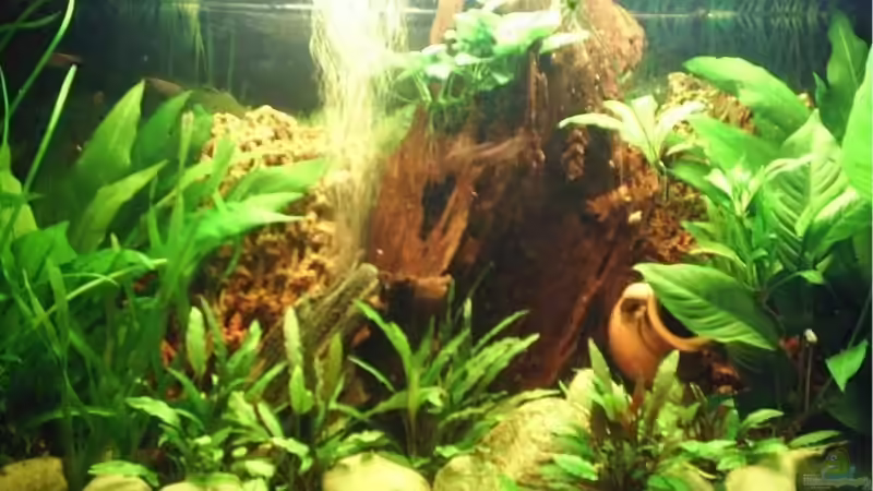 Mein Stolz!!! von Laila2007 (1)