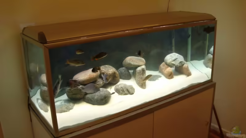 Mein Tank! von MalawiHB (1)