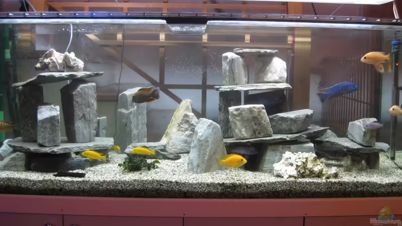 mein Teich von Friedrich (1)