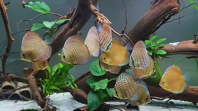 mein Trupp :) von Steven Tumma (25)