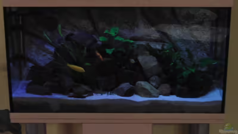 Mein WoHa Becken von Denny Schubert (2)