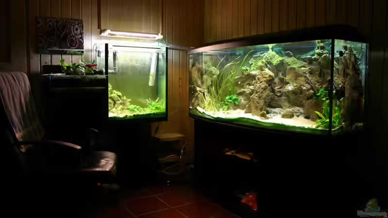 Meine 600l Anlage  von MaWin (1)