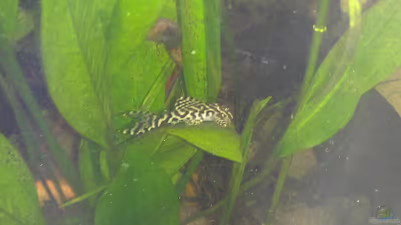 Meine absoluten Lieblinge + Jan 2014 von Tobi L. (28)