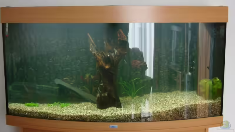 Meine Anfänge! von christian (5)