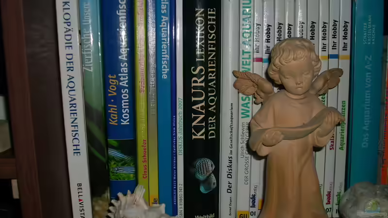 Meine Aquarienbücher von @quarium Cologne (45)