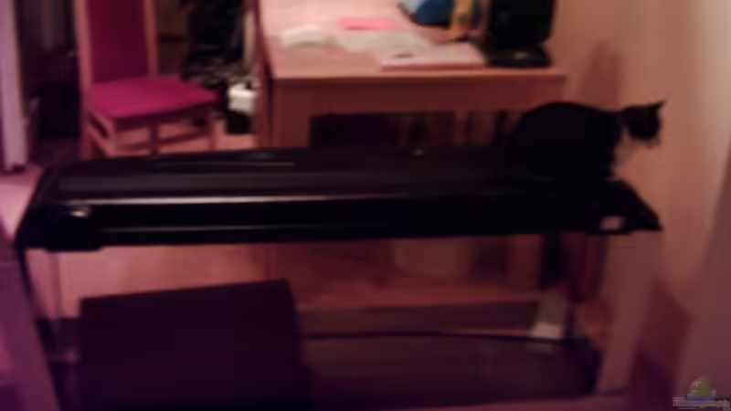 Meine Badewanne von Christine Schebesta (2)