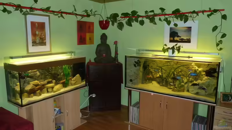 Meine Becken 790L Malawitraum von Malawi-Freunde (5)