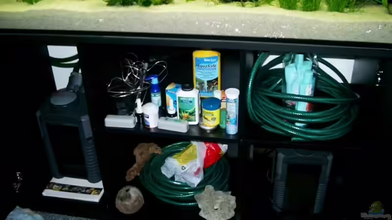 Meine Beiden Eheim fliter von Patrick Adler (6)